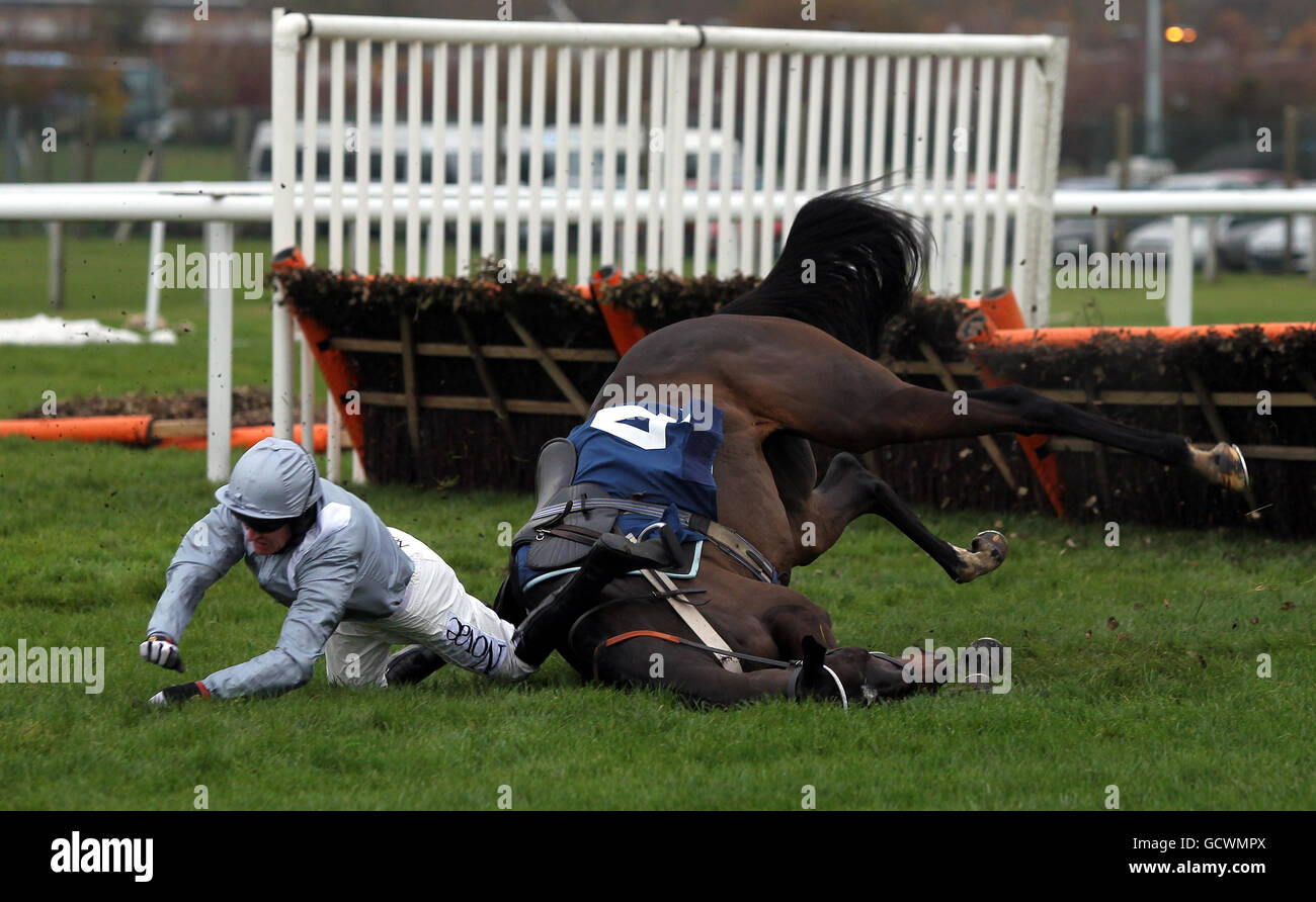 Barry Geraghty et Line Freedom tombent pendant la E.b.F. L'obstacle « National Hunt » novices de Mares à l'hippodrome de Newbury, Berkshire. Banque D'Images