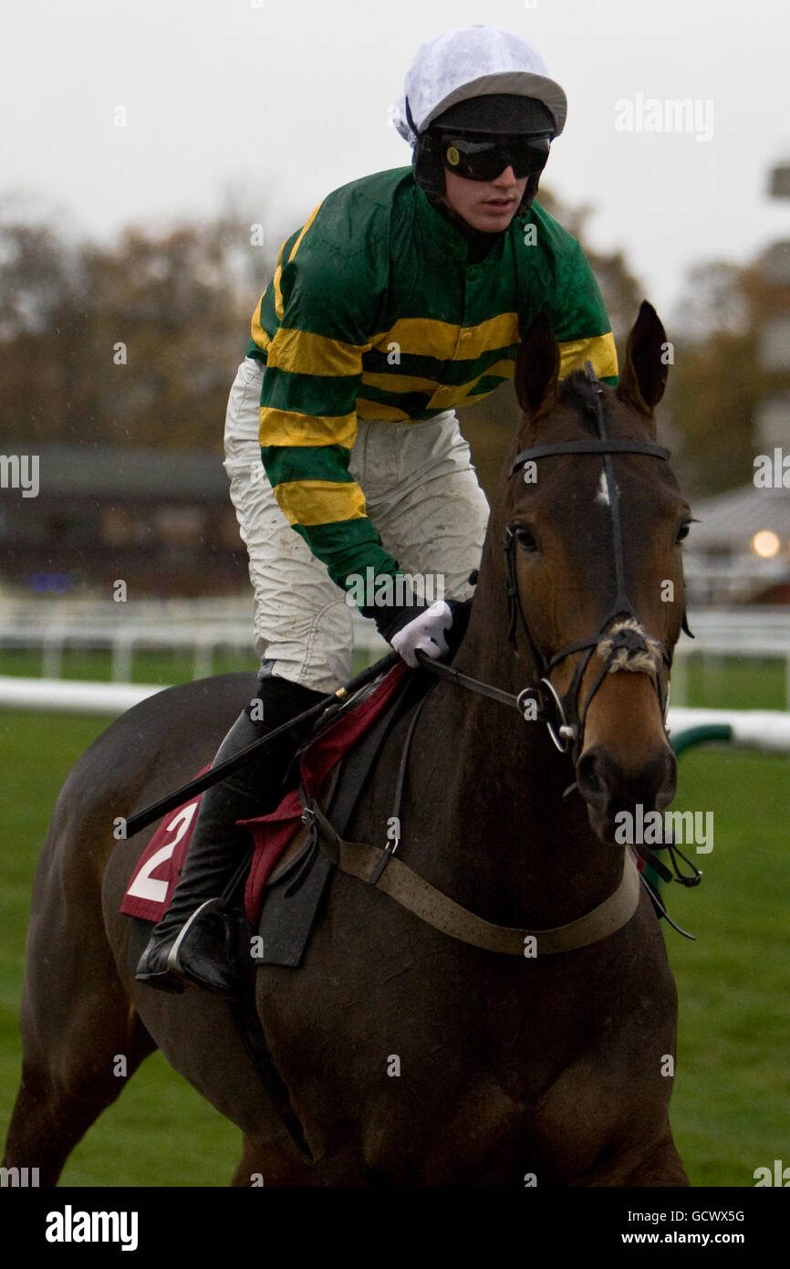 Courses hippiques - course Welfare Raceday - Haydock Park.Né de nouveau, soutenu par Richard Mclernon va poster pour le Michael 'Oscar' Wild Retirement novices' Chase Banque D'Images