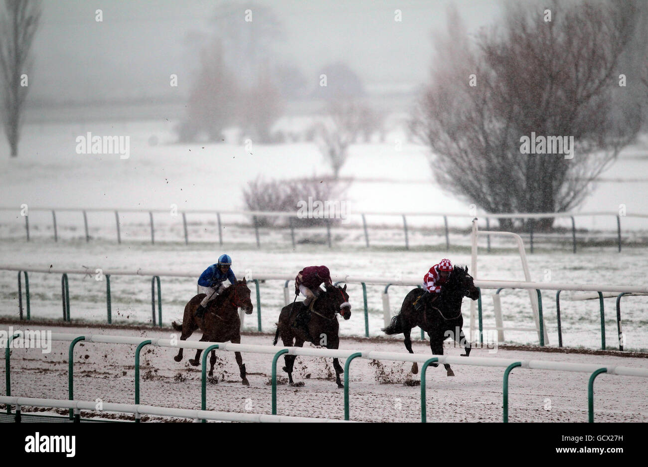 Lexington Bay, monté par Tom Eaves, remporte l'Adam Wilkinson Joyeux 50ème anniversaire Maiden Stakes Banque D'Images