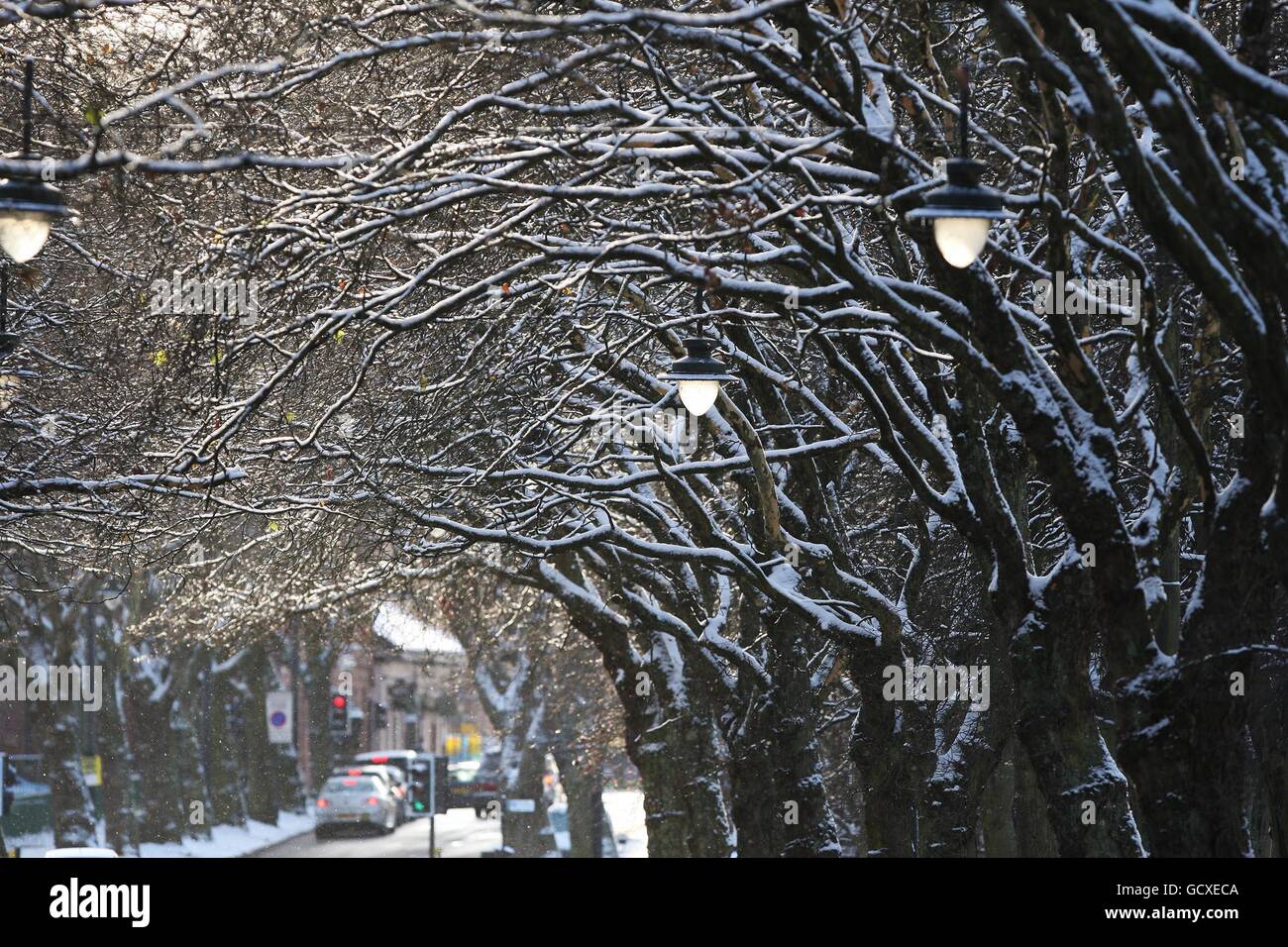 Neige dans le parc Kelvingrove, Glasgow. Comme le grand gel a resserré son emprise sur la nation. Banque D'Images