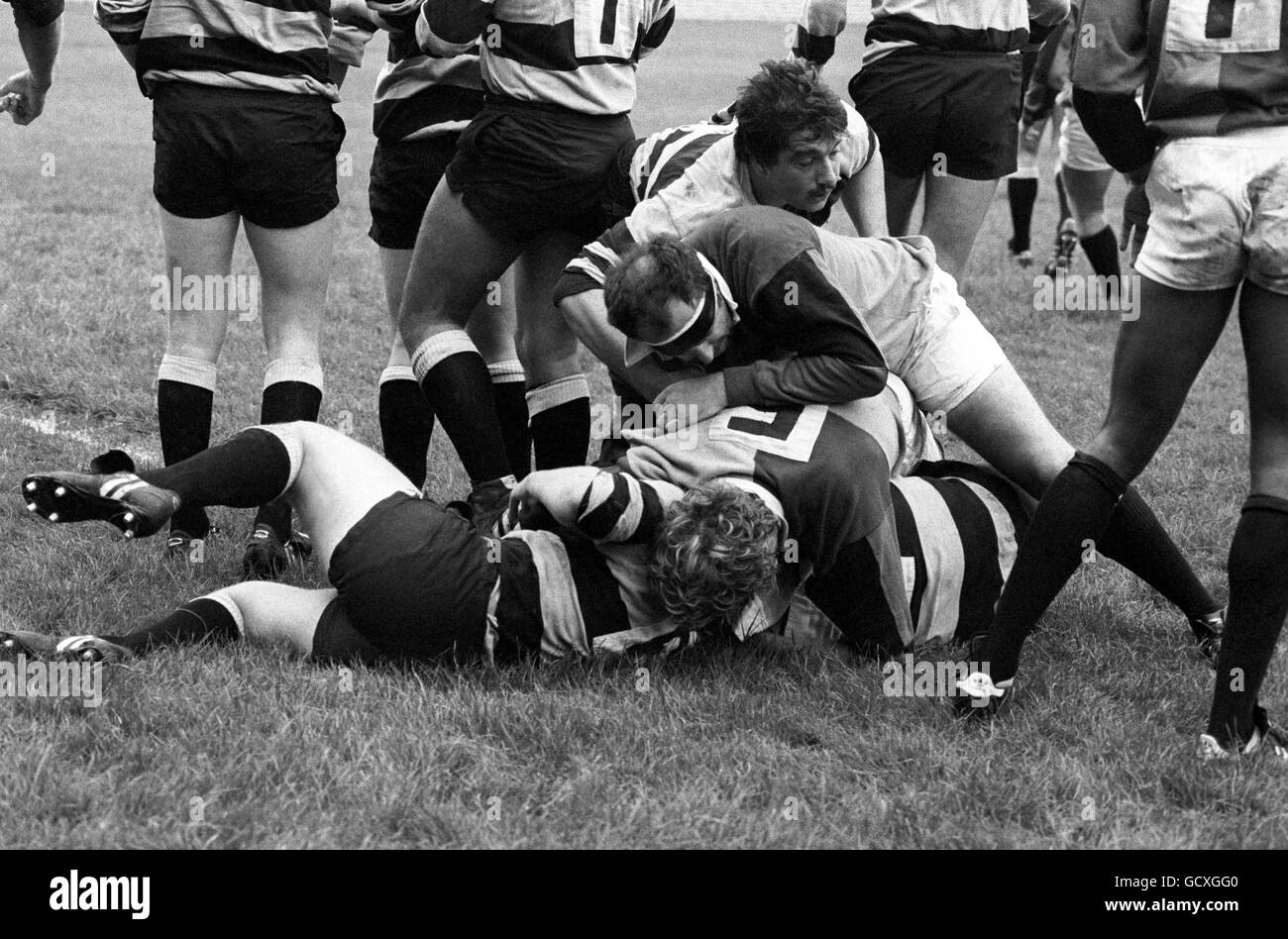 Rugby Union - Harlequins / Cardiff.Harlequins C Kersey protège la balle d'une attaque de Cardiff Banque D'Images