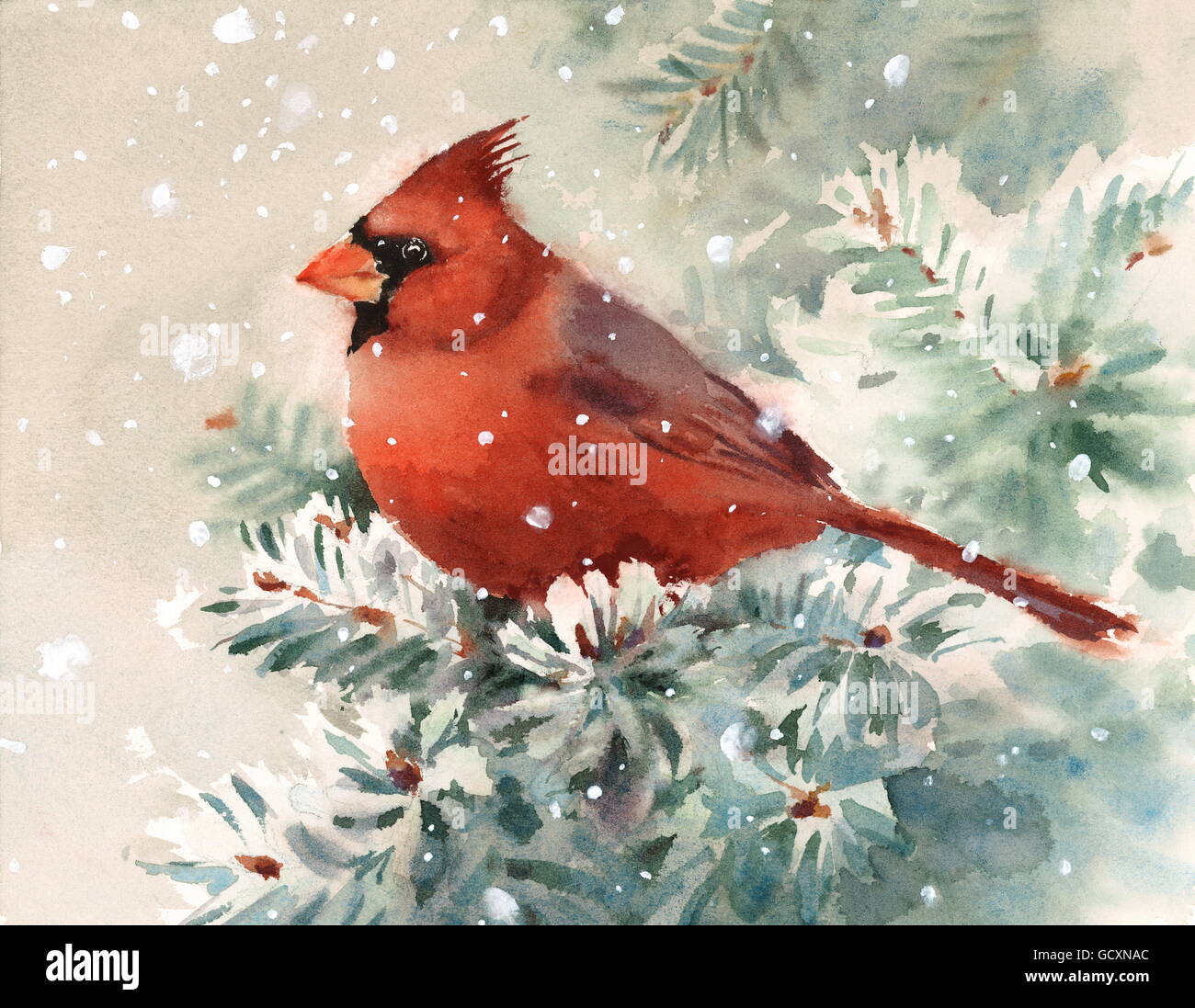 Housse De Coussin Oiseaux D'hiver : Cardinal, Geai Bleu, Rouge-gorge