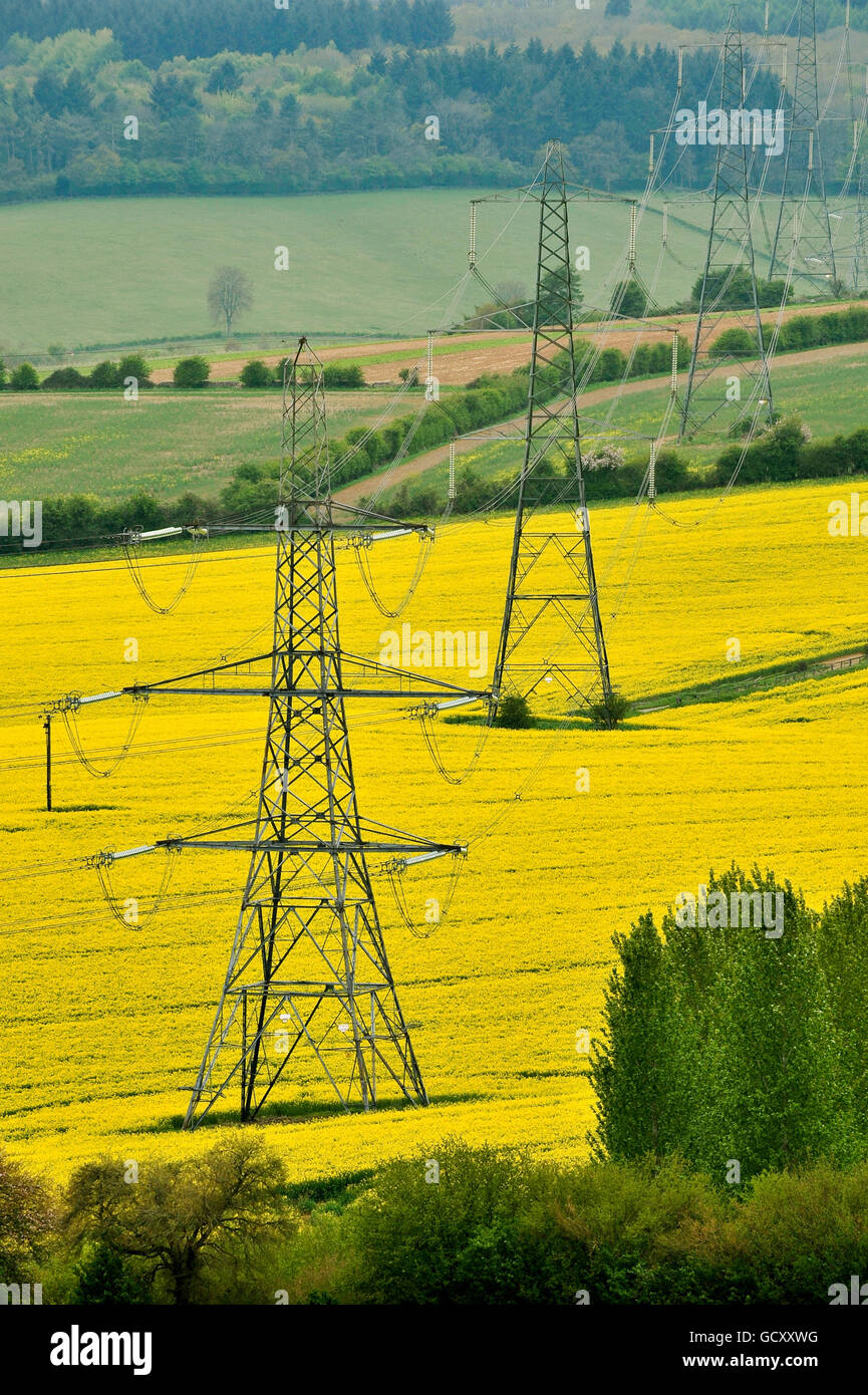 Pylônes d'électricité dans la campagne debout dans un champ de colza jaune dans le Wiltshire. Banque D'Images