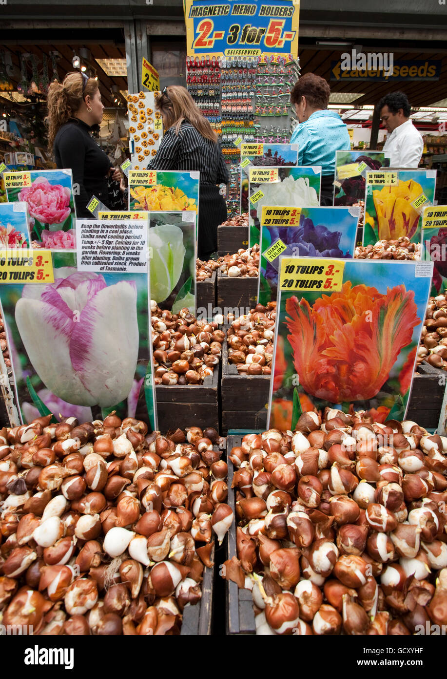 Marché aux Fleurs, Amsterdam, Hollande, Pays-Bas, Europe Banque D'Images