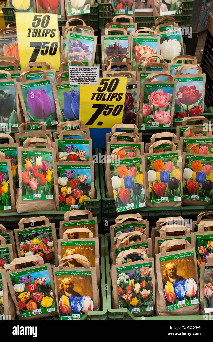 Marché aux Fleurs, Amsterdam, Hollande, Pays-Bas, Europe Banque D'Images