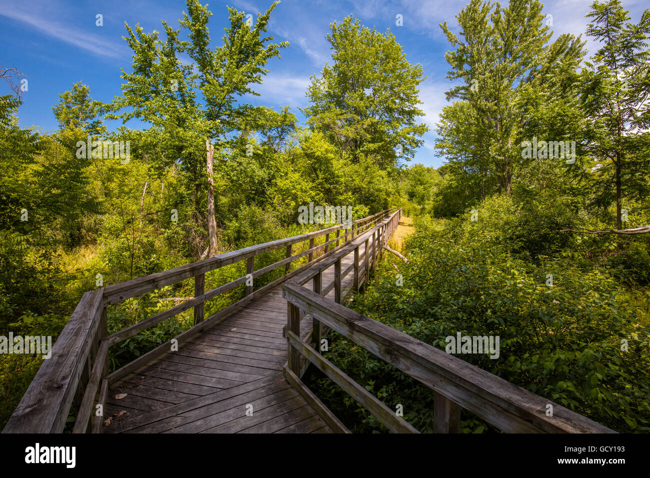 Trottoir de bois si les zones humides dans le Parc des oiseaux dans la ville d'orchard Park dans l'ouest de New York Banque D'Images