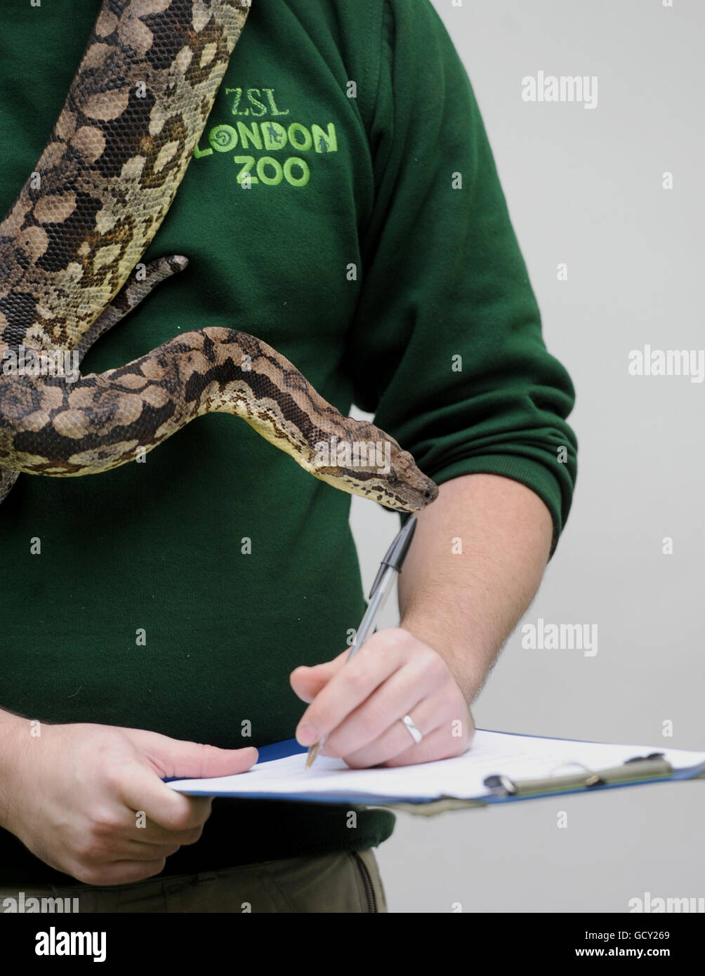 Le Zoo de Londres stocktake Banque D'Images