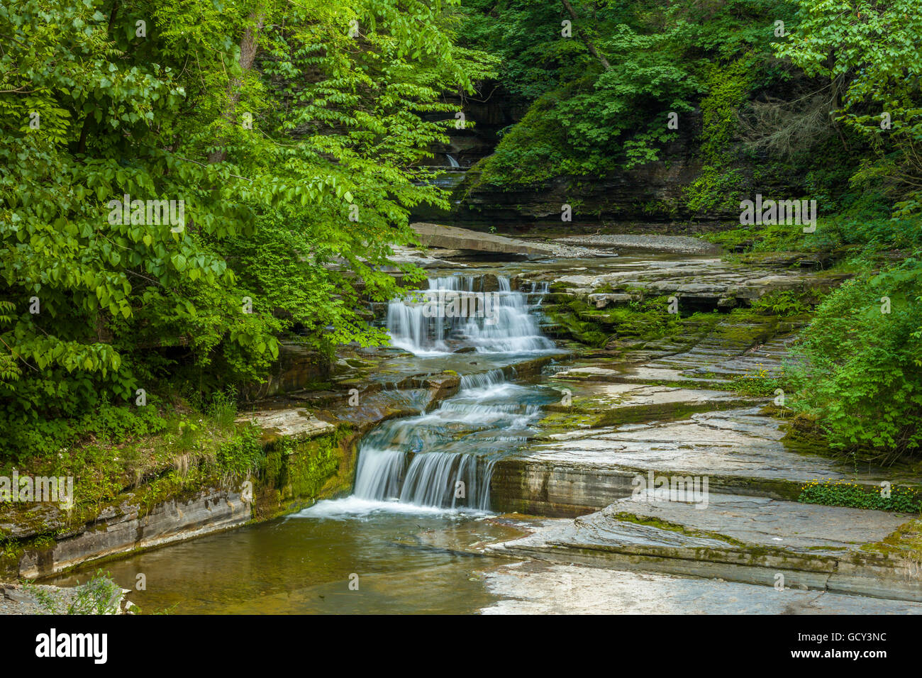 Petites chutes sur McClure Creek à La Havane Glen Park à Montour Falls dans la région des lacs Finger de l'État de New York Banque D'Images