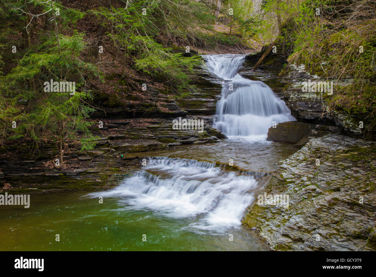 Petites chutes sur Enfield Creek dans la région de Robert H. Treman State Park dans la ville d'Ithaca, dans la région des lacs Finger de l'État de New York Banque D'Images