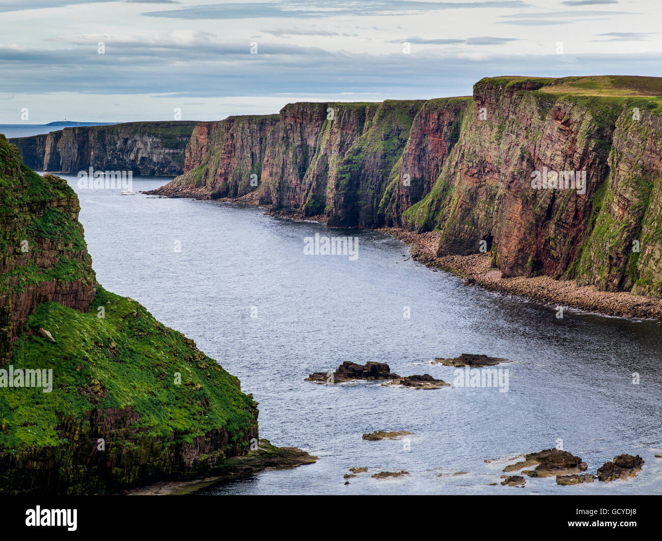 Les falaises le long du littoral et de la mer du Nord, Duncansby Head ; John O'Groats, Ecosse Banque D'Images