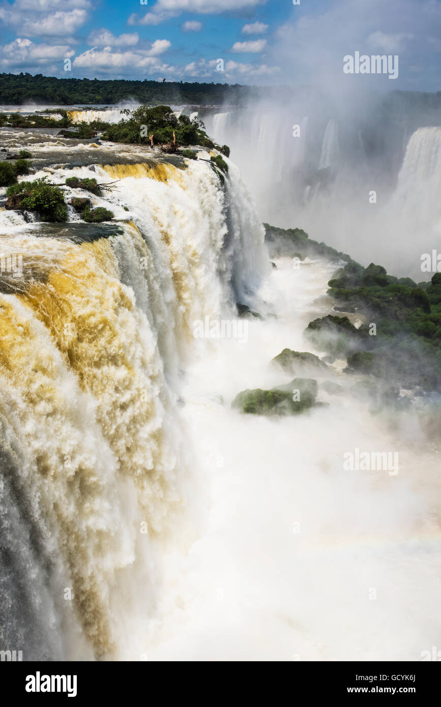 Rainbow vu dans la pulvérisation à Iguazu Falls ; l'État de Parana, Brésil Banque D'Images