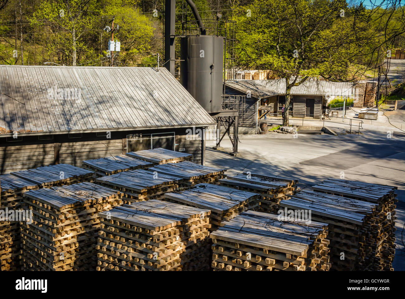 Des piles de bois d'érable ricks pour la production de charbon à combustion lente pour décisions à distillerie Jack Daniel's dans la région de Lynchburg, TN Banque D'Images