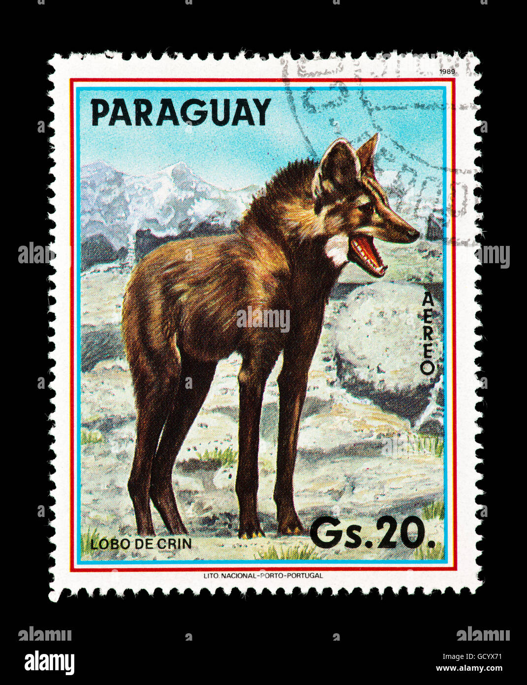Timbre du Paraguay représentant un loup. Banque D'Images