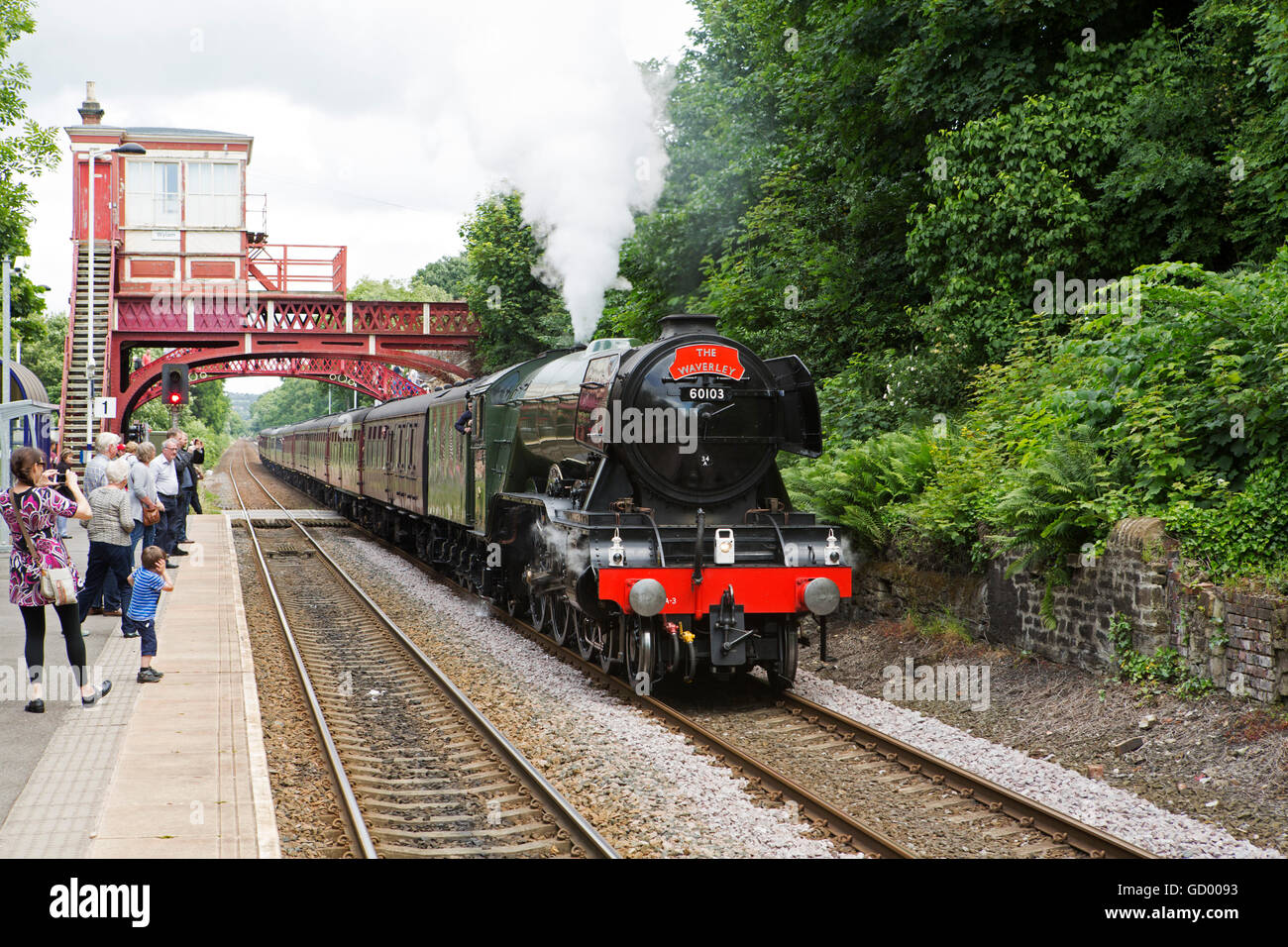 La photographie des gens comme locomotive de Waverley il tire le Flying Scotsman à Wylam, dans le Northumberland. Banque D'Images