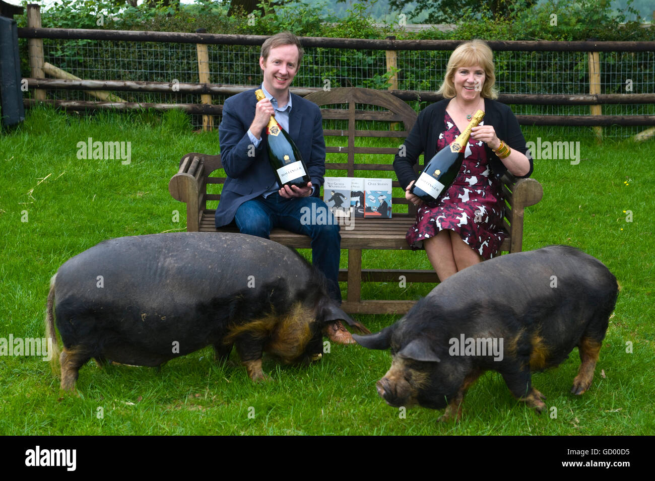 Bollinger Everyman Wodehouse Prize for Fiction comique gagnants Paul Murray et Hannah Rothschild avec les porcs à petites races Farm Park et centre d'Owl, Kington, Hereford, Herefordshire HR5 3HF Banque D'Images