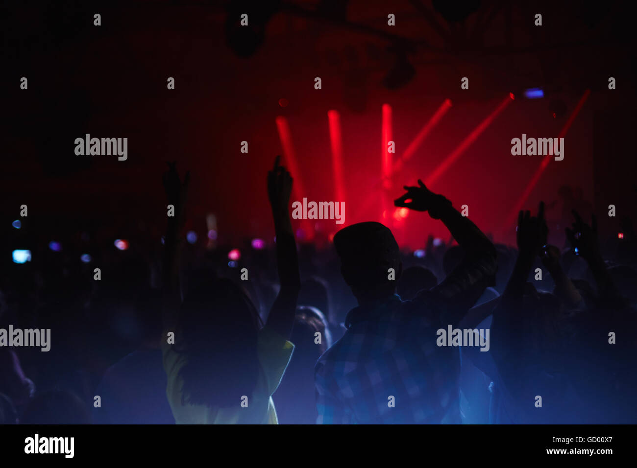 Party people Banque D'Images