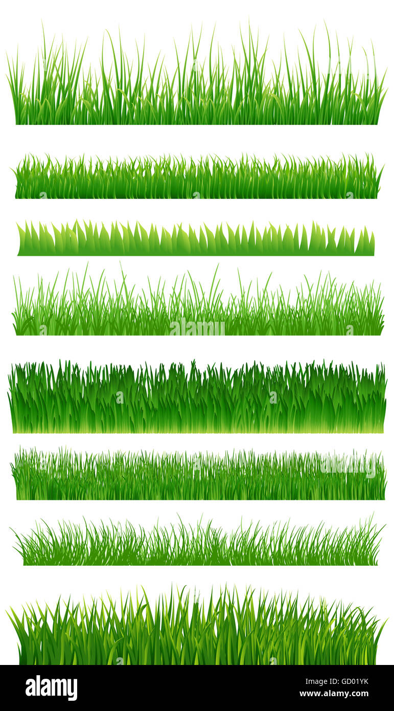 Les frontières de l'herbe verte sur fond blanc collection d'illustration. Banque D'Images