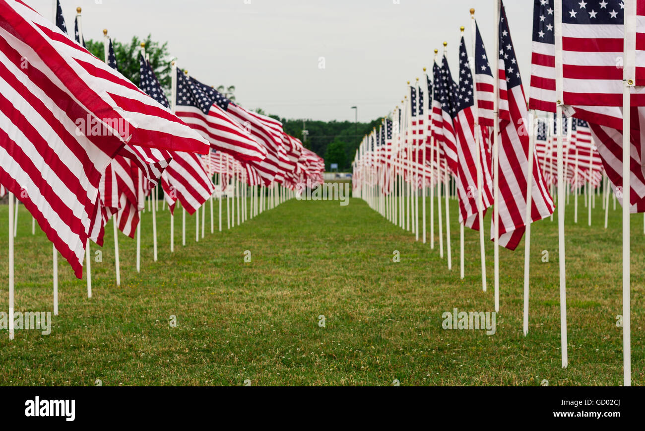 Memorial Day - Domaine de drapeaux Banque D'Images