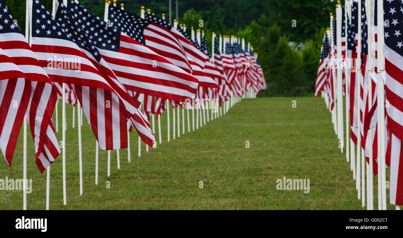 Memorial Day - Domaine de drapeaux Banque D'Images