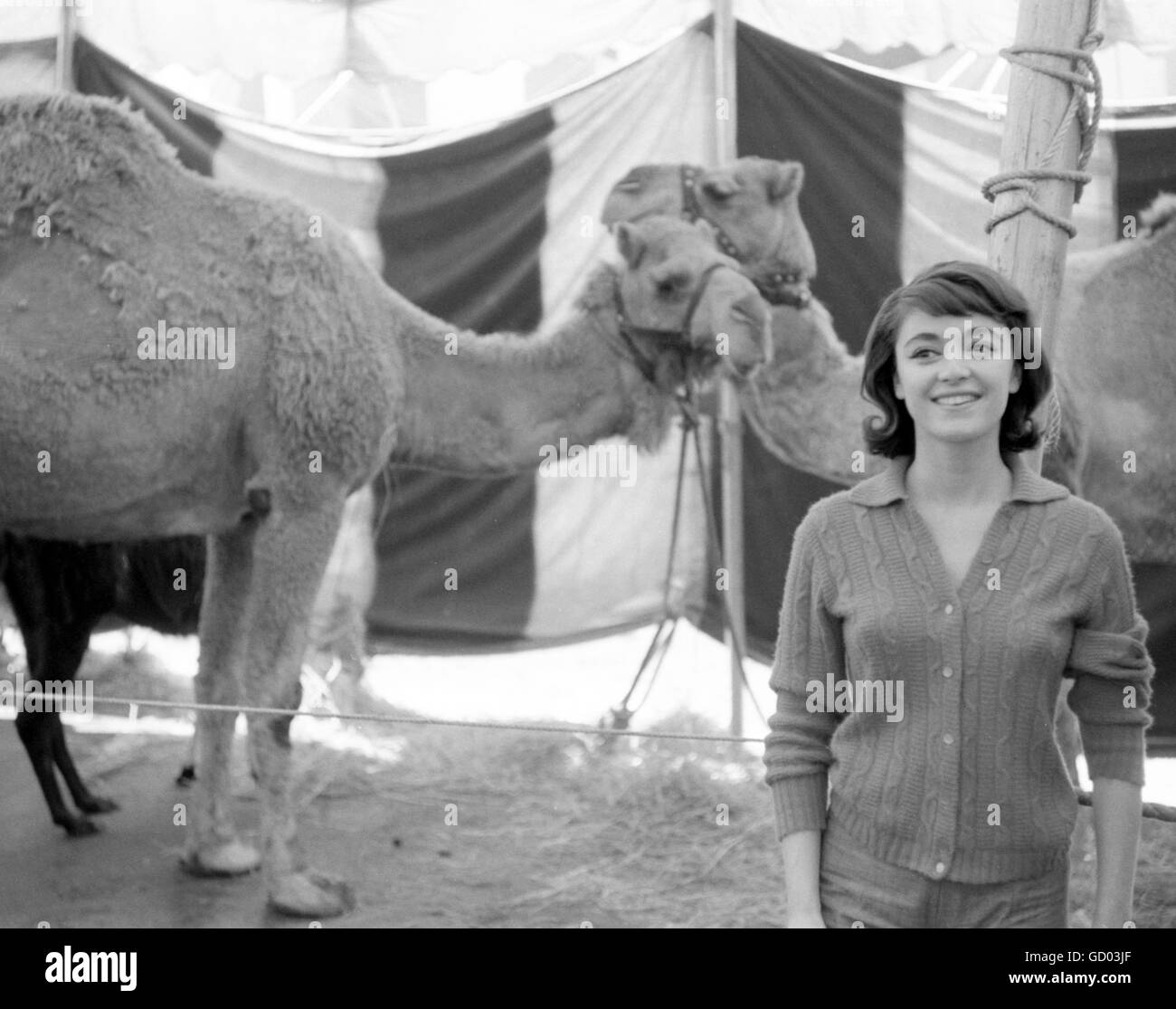 Anna Maria Alberghetti Banque D'Images