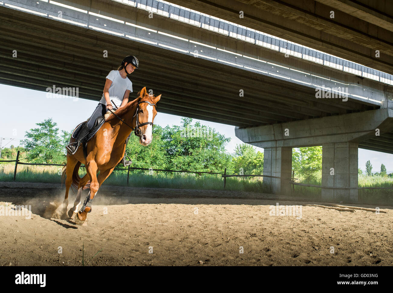 Girl riding a horse Banque D'Images