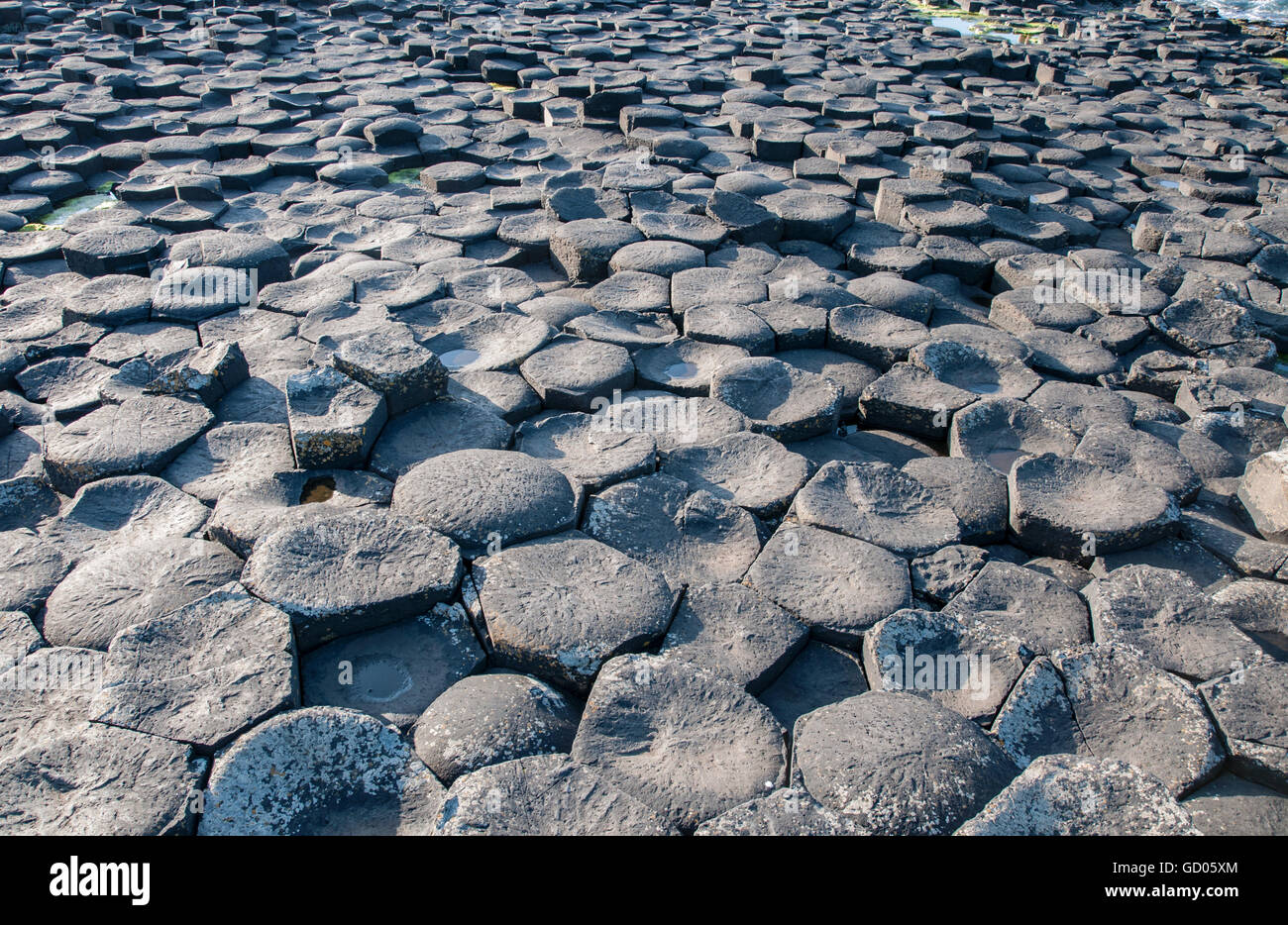 Chaussée des Géants. Formations hexagonales géologique unique de basalte volcanique roches sur la côte de l'Irlande du Nord, Royaume-Uni Banque D'Images