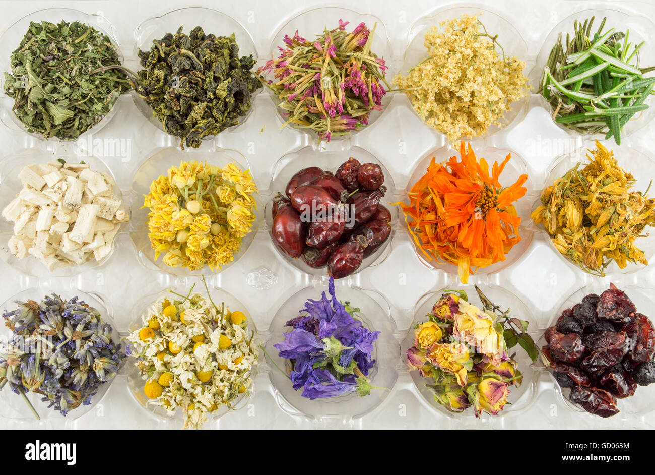 Diverses plantes séchées pour faire un thé parfait Banque D'Images