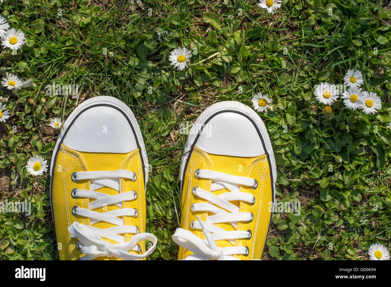 Sneakers jaune dans un champ dasiy. Vue à la première personne Banque D'Images