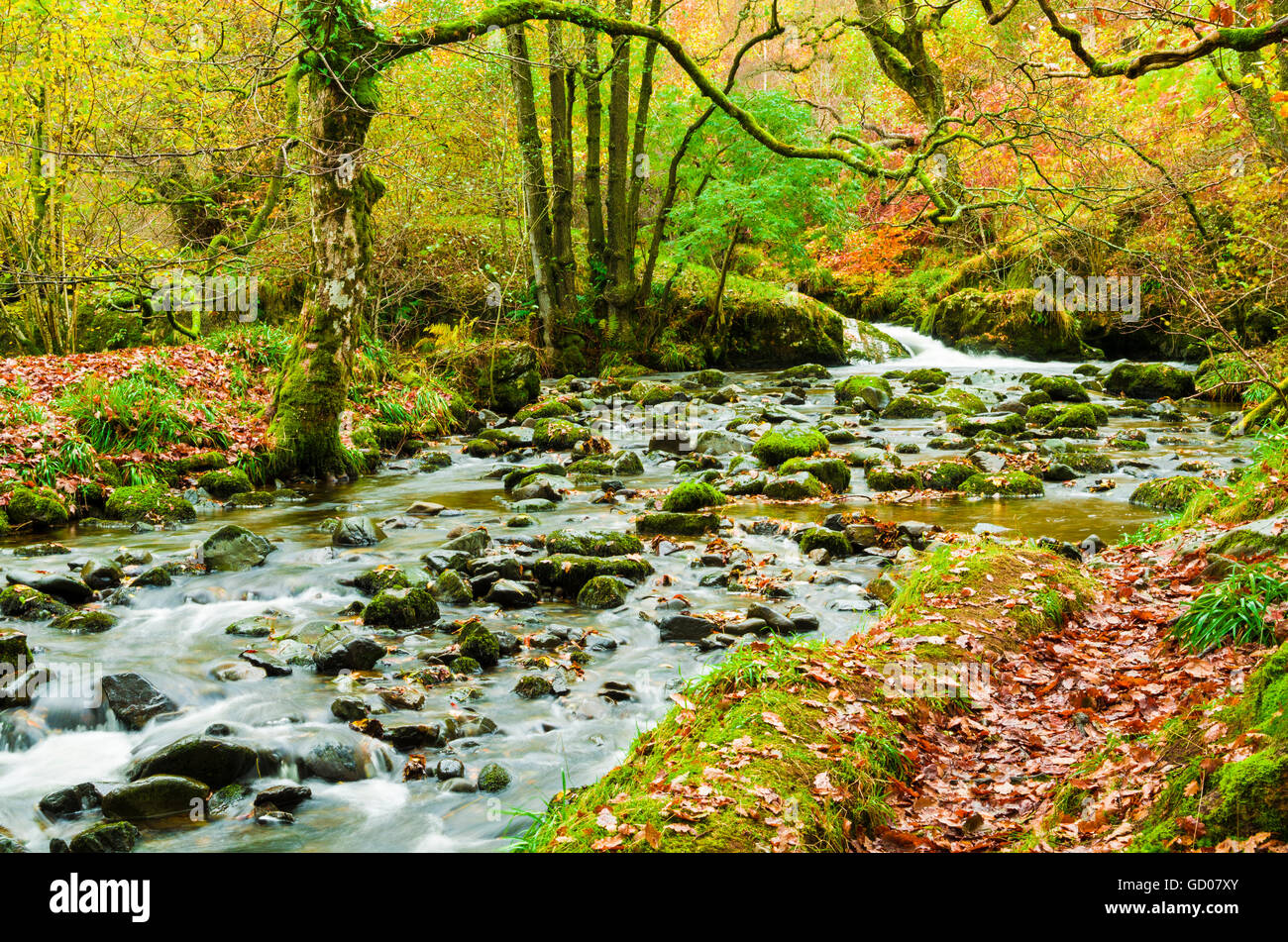 L'Aira Beck dans le Parc National de Lake District près de Dockray, Cumbria, Angleterre. Banque D'Images