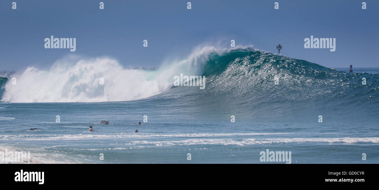 Les moussurfeurs nagent alors que de grandes vagues se brisent au Wedge Newport Beach California en juin 2016 Banque D'Images