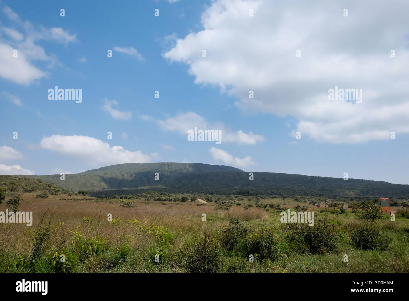 Nairobi. 09 juillet 2016. Photo prise le 9 juillet 2016 montre une vue sur le mont Longonot Parc National dans la Great Rift Valley, près de Nairobi, capitale du Kenya. Le mont Longonot est la plus haute montagne volcanique dans la vallée du Grand Rift, à environ 2 800 mètres au-dessus du niveau de la mer. Le stratovolcan dormant est l'un des plus jeunes volcans du monde, formé à partir de l'une des éruptions colossales qui devint connu comme la Grande Vallée du Rift. © Pan Siwei/Xinhua/Alamy Live News Banque D'Images