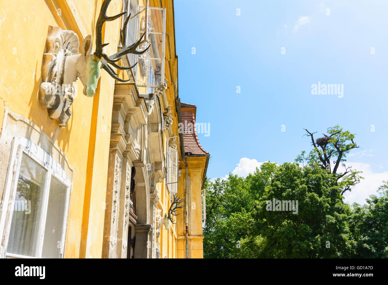 Waidhofen/Ybbs Waidhofen/Ybbs : château avec un nid de cigogne blanche (Ciconia ciconia), l'Autriche, Niederösterreich, Autriche, Donau Banque D'Images