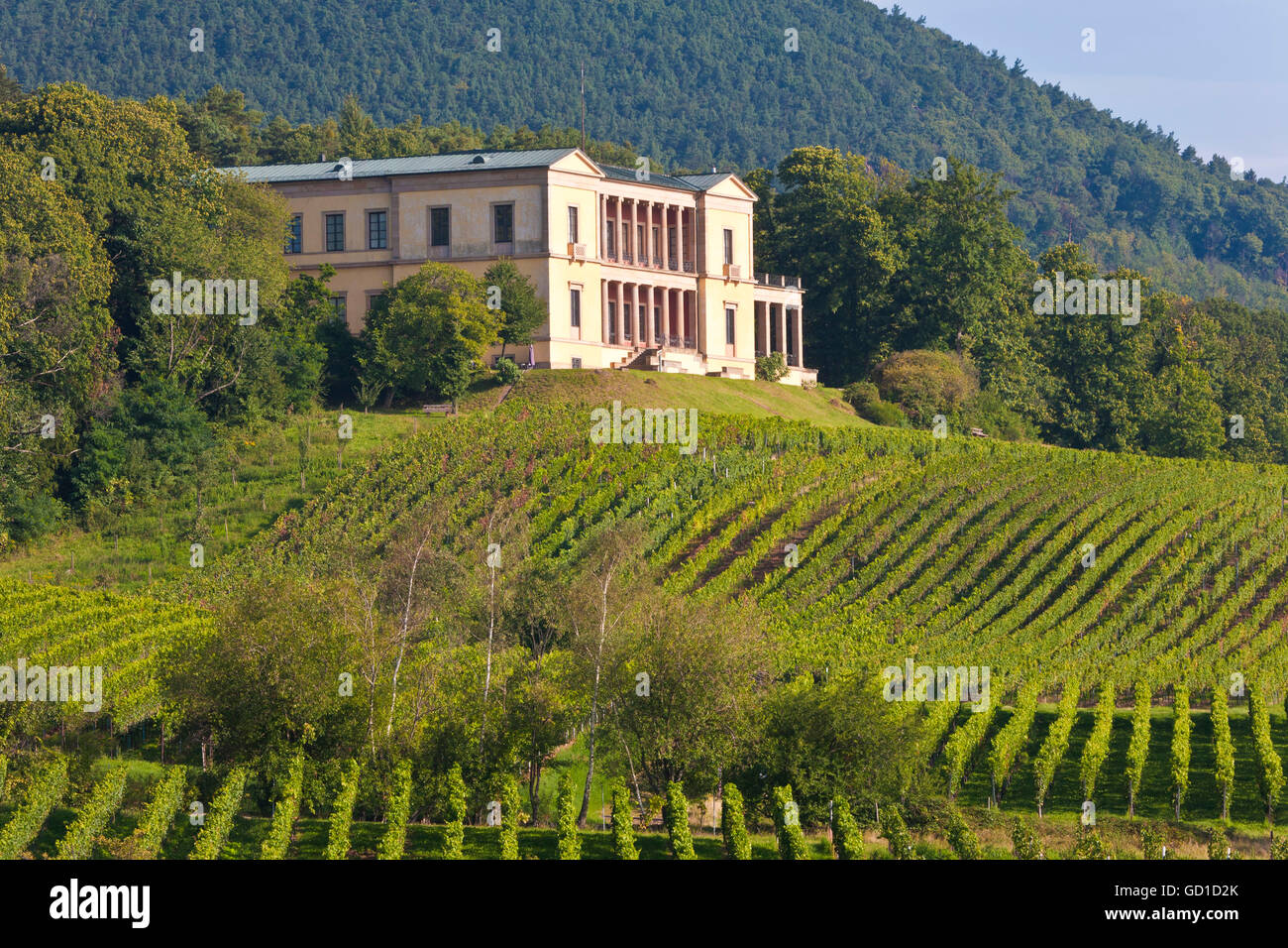 Villa Ludwigshoehe, vignobles près de Deidesheim, Route des Vins allemande, région viticole du Palatinat, Rhénanie-Palatinat Banque D'Images