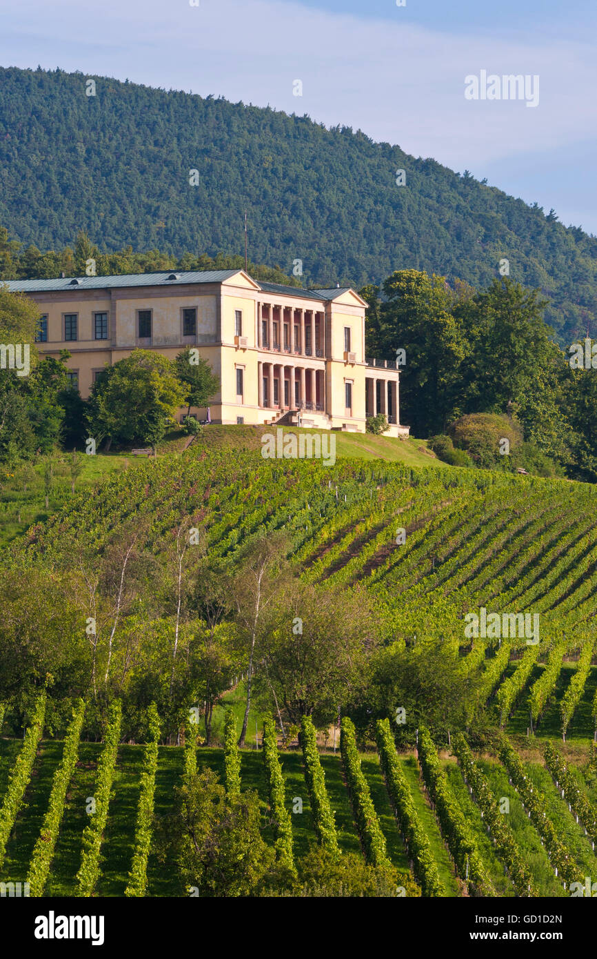 Villa Ludwigshoehe, vignobles près de Deidesheim, Route des Vins allemande, région viticole du Palatinat, Rhénanie-Palatinat Banque D'Images