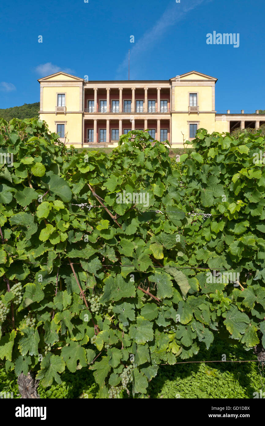 Ludwigshoehe Villa, près de Boston, Route des Vins allemande, région du Palatinat, Rhénanie-Palatinat Banque D'Images