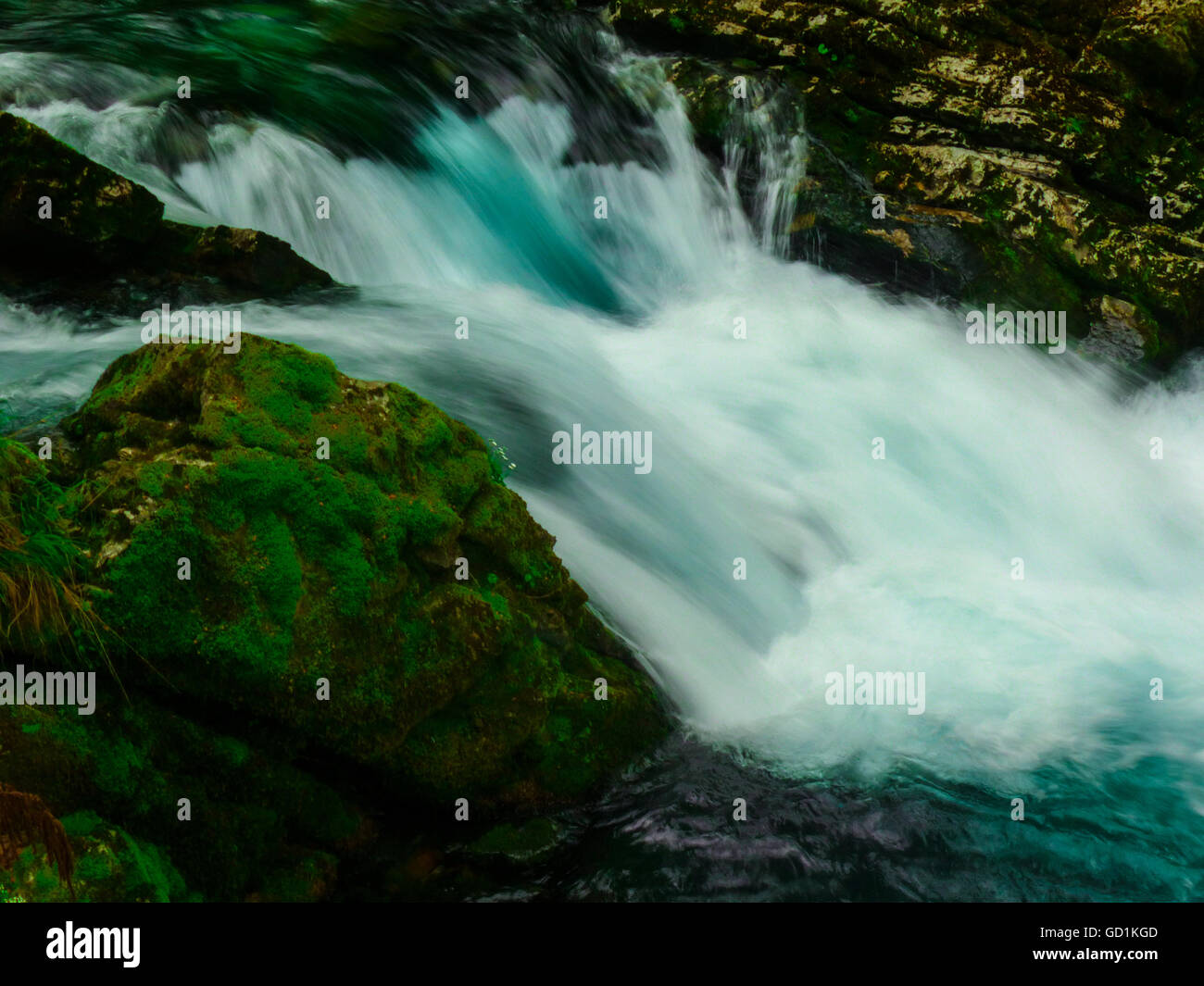 La Réserve Naturelle de Vintgar,Slovénie Banque D'Images