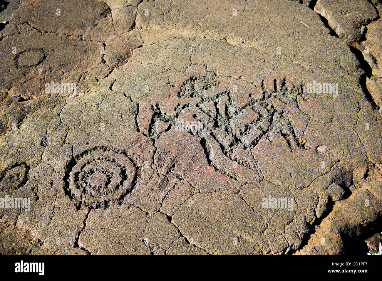 Pétroglyphes sur le sentier du roi ; Waikaloa, Island of Hawaii, Hawaii, United States of America Banque D'Images