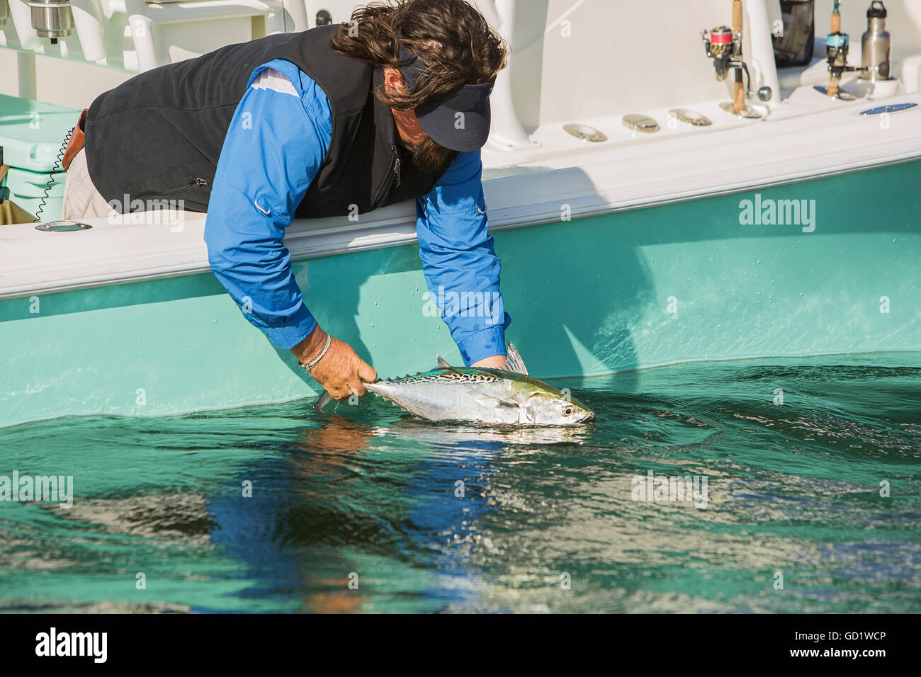 Un homme retient son poisson frais à l'extérieur du bord d'un bateau de pêche sur la côte Atlantique, à Cape Cod, Massachusetts, USA Banque D'Images