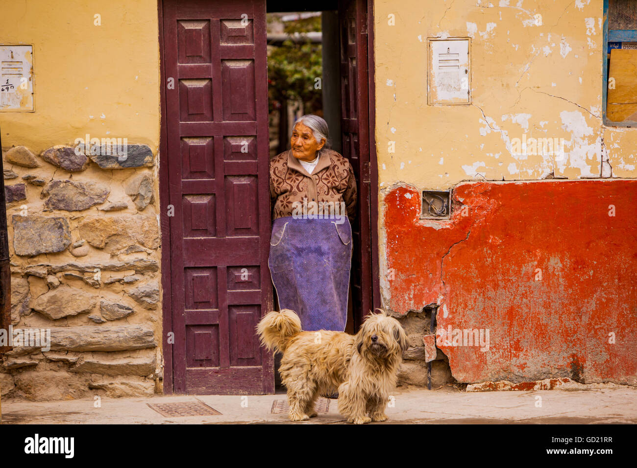 Femme et son chien, Ollantaytambo, Vallée Sacrée, le Pérou, Amérique du Sud Banque D'Images