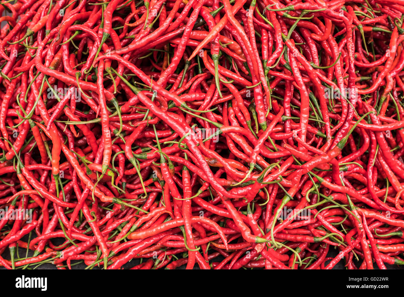 Les piments à Bukittinggi, marché de l'Ouest de Sumatra, Indonésie, Asie du Sud, Asie Banque D'Images