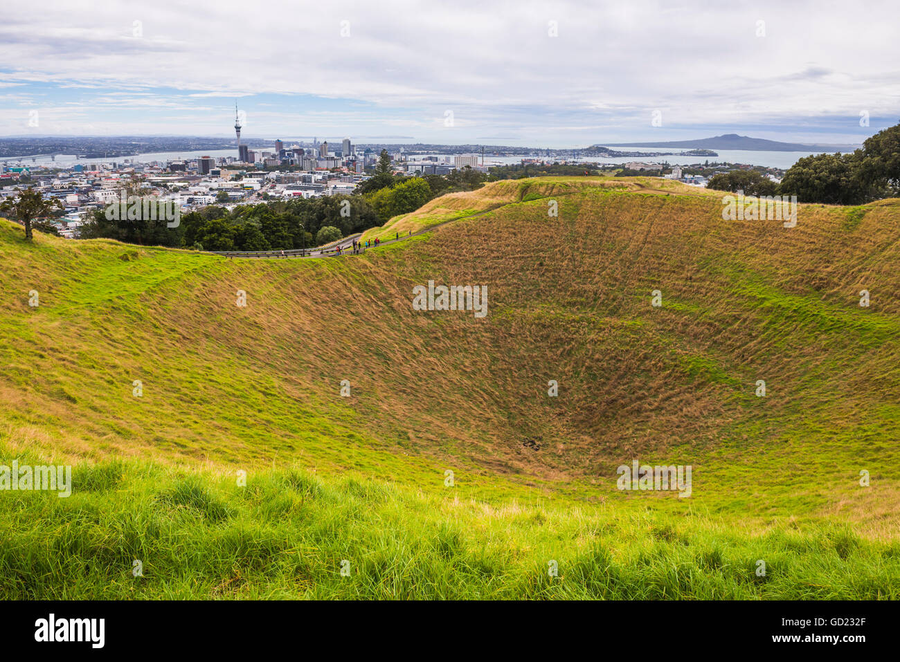 Sur le mont Eden, Auckland, île du Nord, Nouvelle-Zélande, Pacifique Banque D'Images