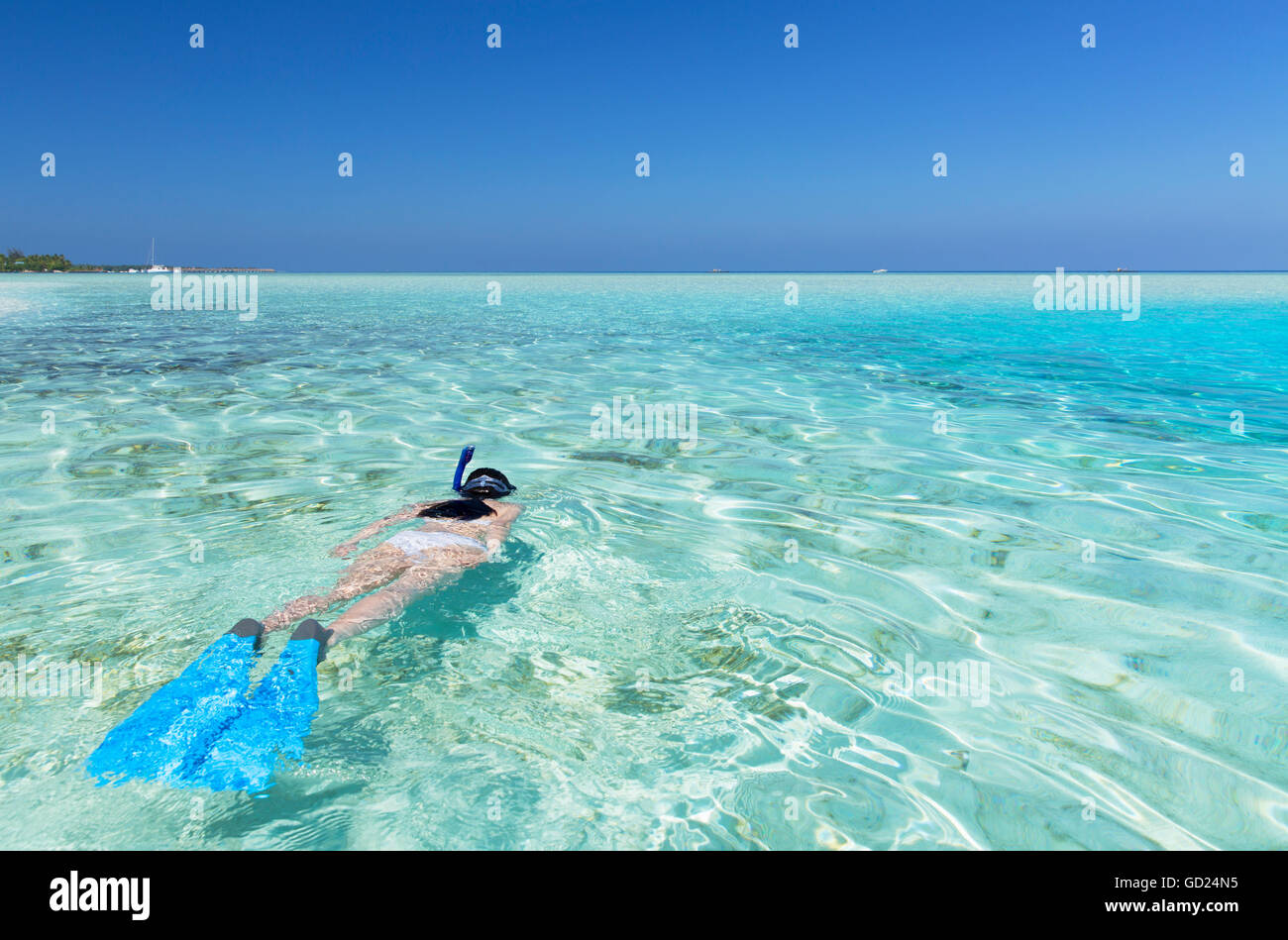 Femme de la plongée libre dans le lagon, l'île de Rasdhoo, Nord de Ari Atoll, Maldives, océan Indien, Asie Banque D'Images