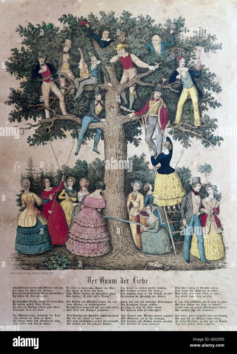 Allégories, Love, 'l'arbre de l'Amour', grand-page illustré satirique, lithographie, publié par May und Wirsing, Francfort-sur-le-main, vers 1840, collection privée, , droits-supplémentaires-Clearences-non disponible Banque D'Images