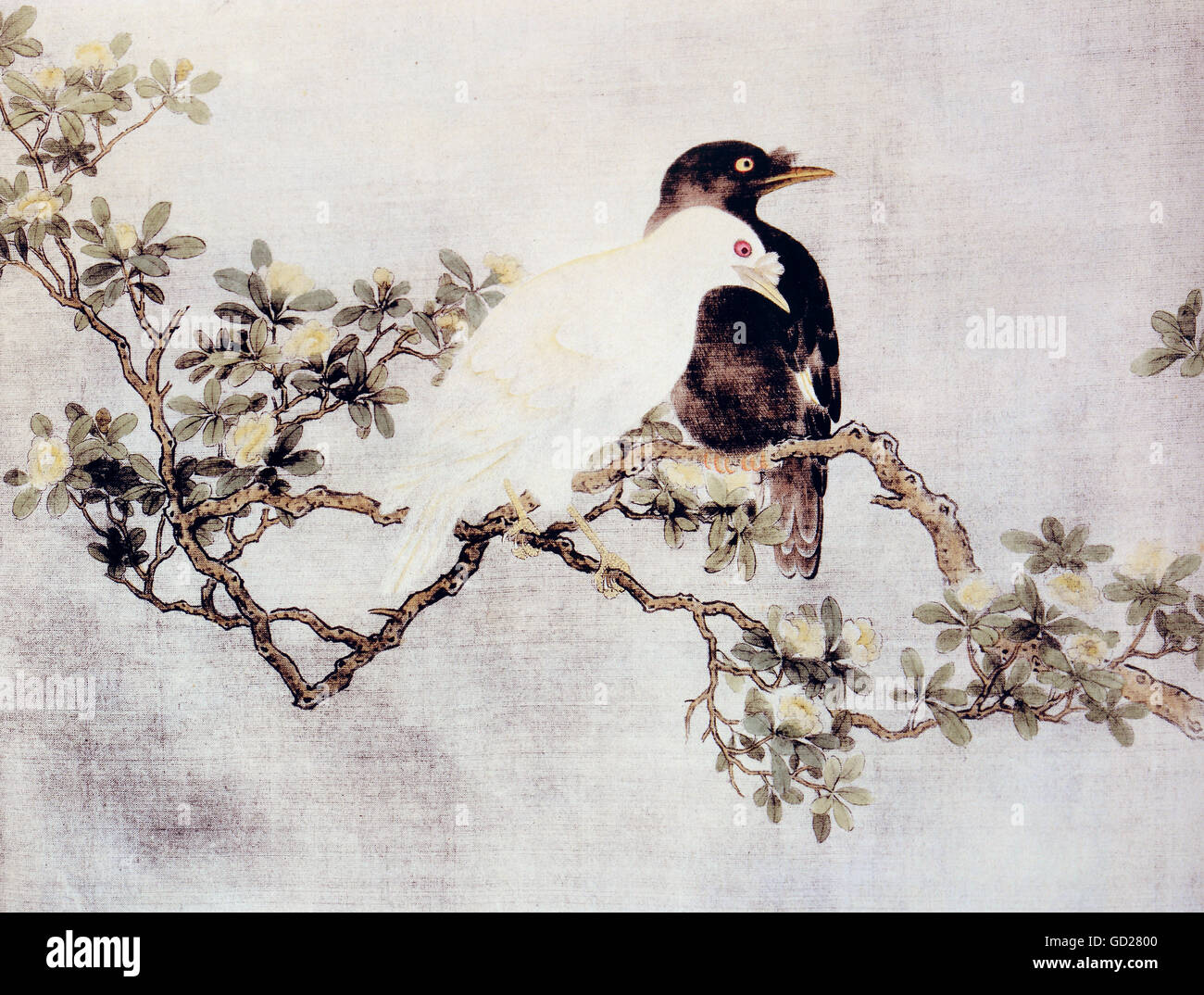 Beaux-arts, peinture sur soie, un noir et un blanc throstle sur une brindille de floraison, par Ling Chum, dynastie des Song (960 - 1279), National Museum, Taipei, auteur de l'artiste n'a pas à être effacée Banque D'Images