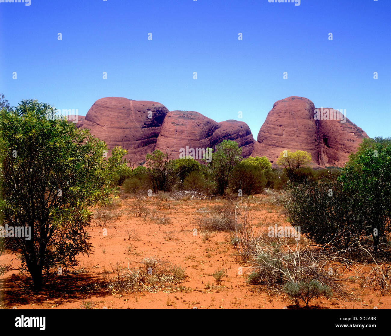 Australie Territoire du Nord les Olgas (Kata Tjuta) Mont Olga dans l'Uluru - Kata Tjuta National Park Adrian Baker Banque D'Images