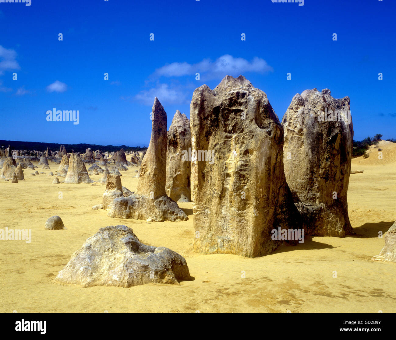 L'ouest de l'Australie Le Désert des Pinnacles près de Cervantes Les Pinnacles - une grande surface de formations calcaires dans la région de National de Nambung P Banque D'Images