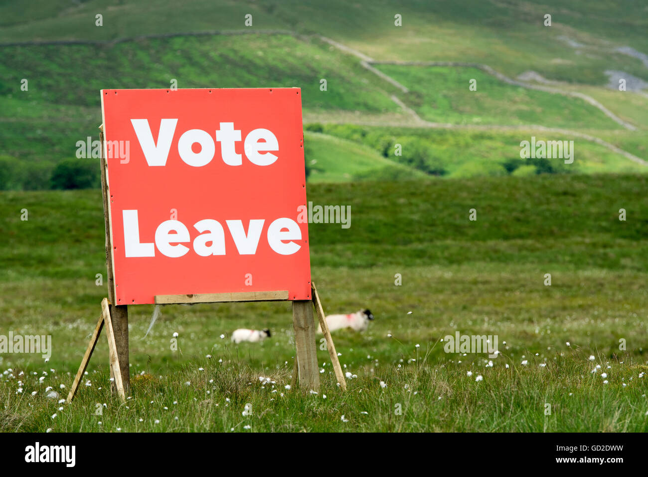 Voter Laisser signe dans le Yorkshire Dales campagne, en liaison avec l'Union européenne référendum. Banque D'Images