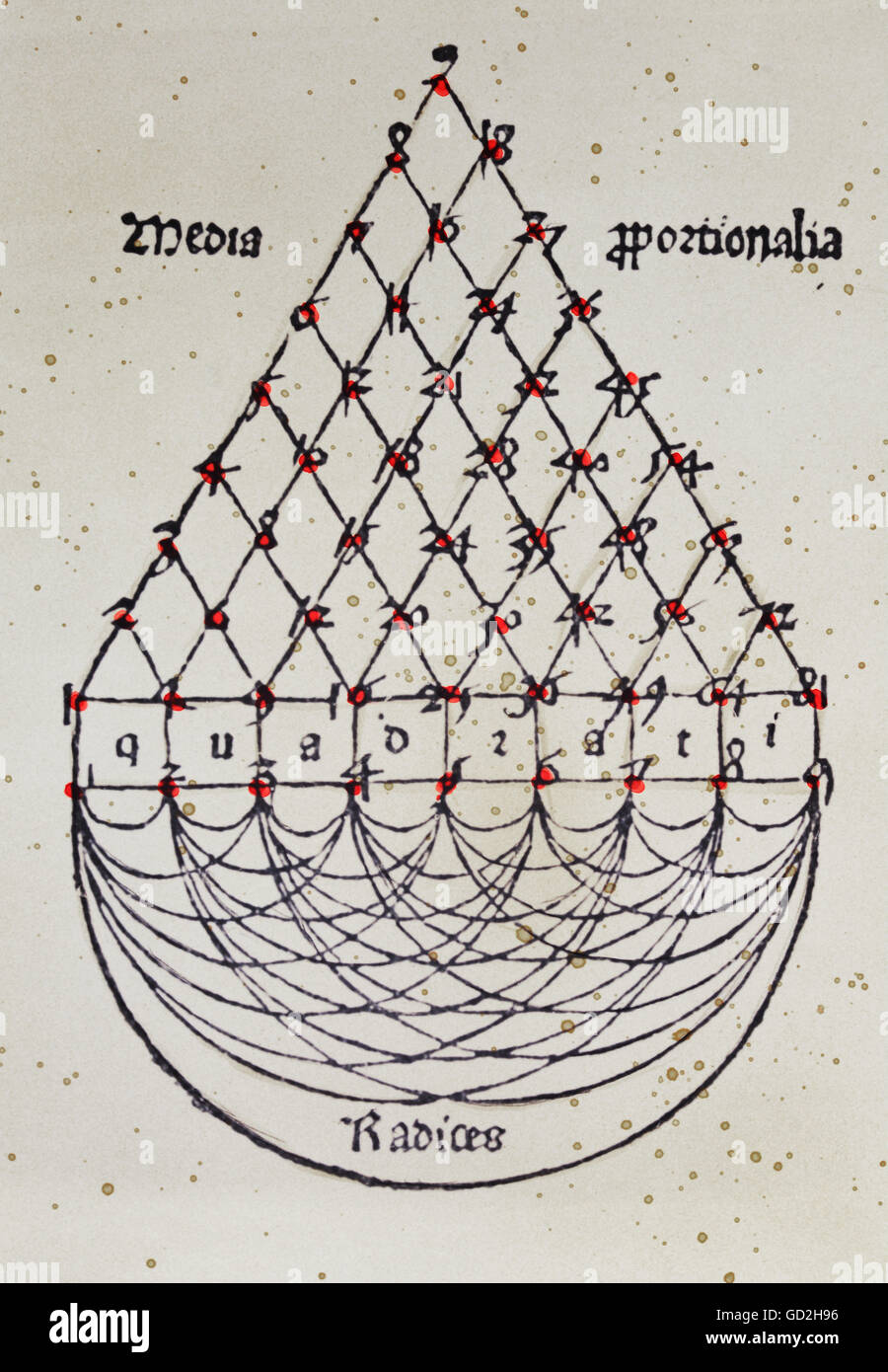 Science, mathématiques, schéma de la table de multiplication construite comme un triangle, bois de couleur, Allemagne, 16ème siècle, collection privée, 16ème siècle, graphique, graphique, science, sciences, calcul, calculer, multiplier, multiplier, schéma, schémas, table de multiplication, tables de multiplication, tableaux, multiplication simple, coloré, bois, coupe, bois, historique, historique, historique, droits additionnels-Clearences-non disponible Banque D'Images