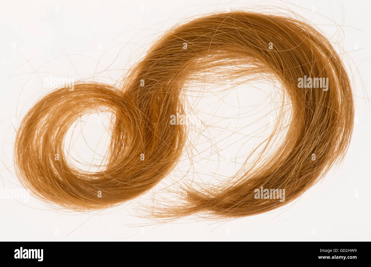 Personnes, curl d'une fille de 5 ans, Allemagne, 1856, droits additionnels-Clearences-non disponible Banque D'Images