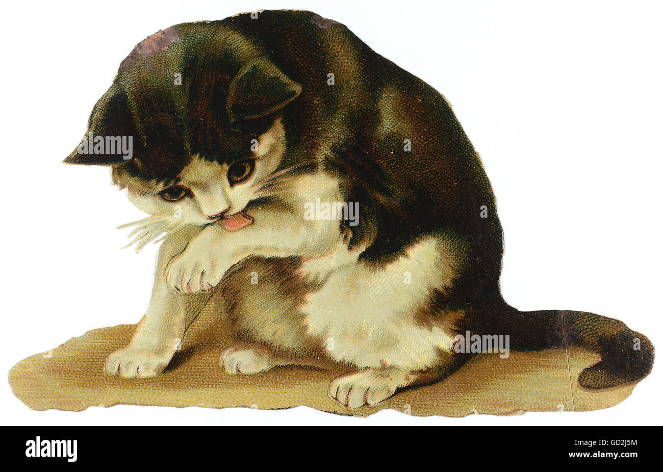 Kitsch Souvenir Tirages Brillants Chat Licks Sa Patte Chromolithographe Fin Du Xixe Siecle Photo De Livre D Autographes Photo D Album De Famille Animaux Animal Nettoyage Propre Catlick Lavage Rapide Kitsch Hokum Chat Kitsch Souvenir Tirages Brillants Chat Licks Sa Patte Chromolithographe Fin Du Xixe Siecle Photo De Livre D Autographes Photo D Album De Famille Animaux Animal Nettoyage Propre Catlick Lavage Rapide Kitsch Hokum Chat